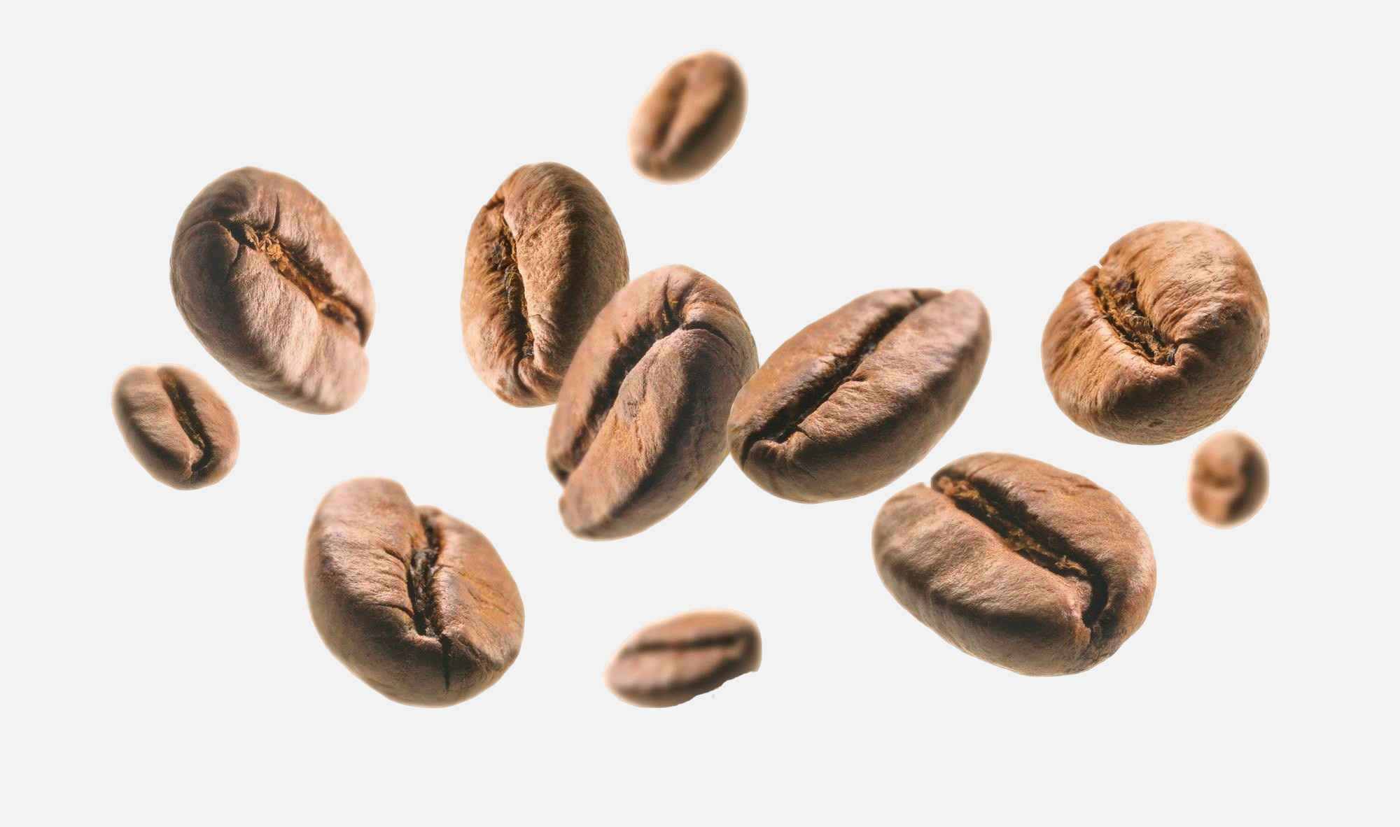  Rich coffee beans